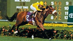 Lure: The Horse That Switched Career Fields and Came Out on Top
